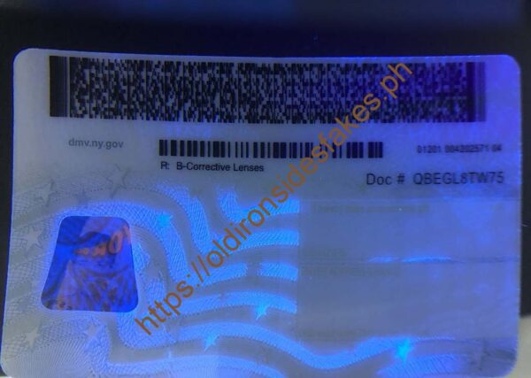 New York Driver License(NY O21 2020) - Image 2