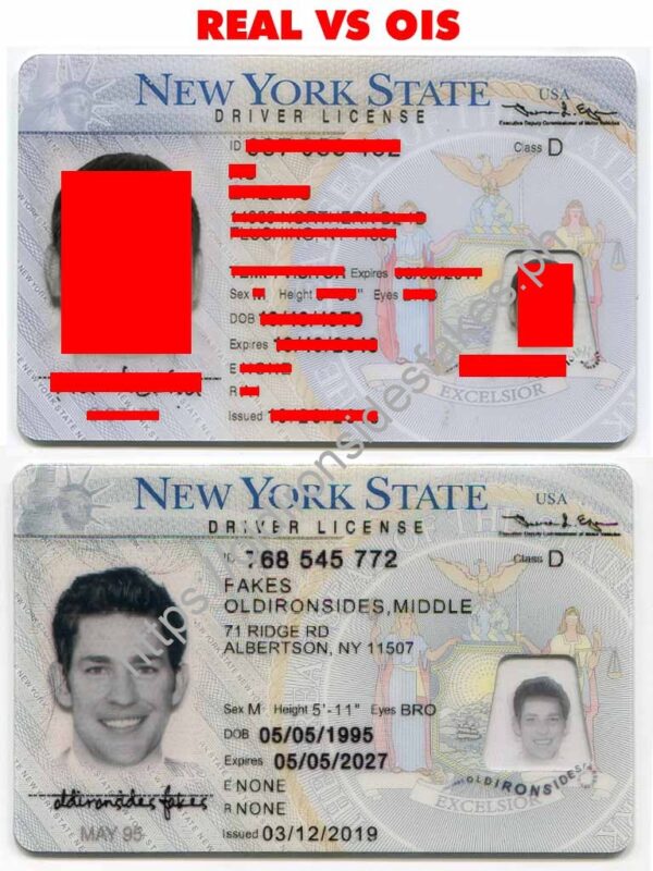 New York Driver License(NY O21 V3)