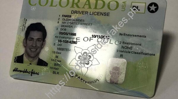Colorado Driver License(New CO) - Image 5