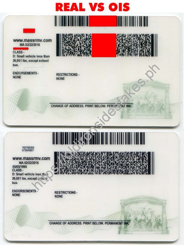 Massachusetts Driver License (New MA O21) - Image 5