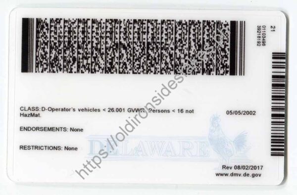 Delaware Driver License(New DE U21) - Image 2