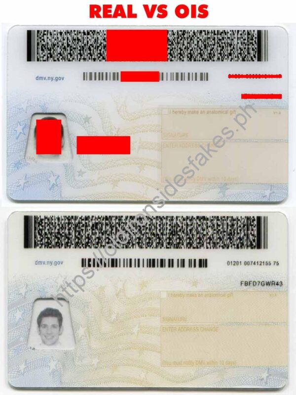 New York Driver License(NY O21 V3) - Image 6