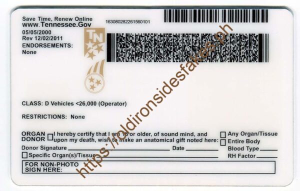 Tennessee Driver License(TN U21) - Image 2