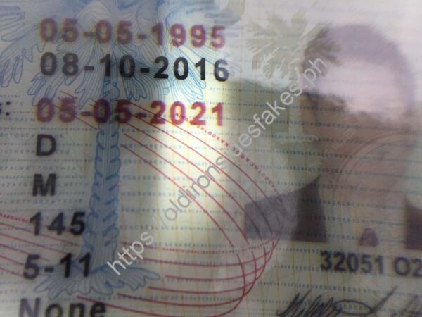 South Carolina Driver License(Old SC) - Image 3