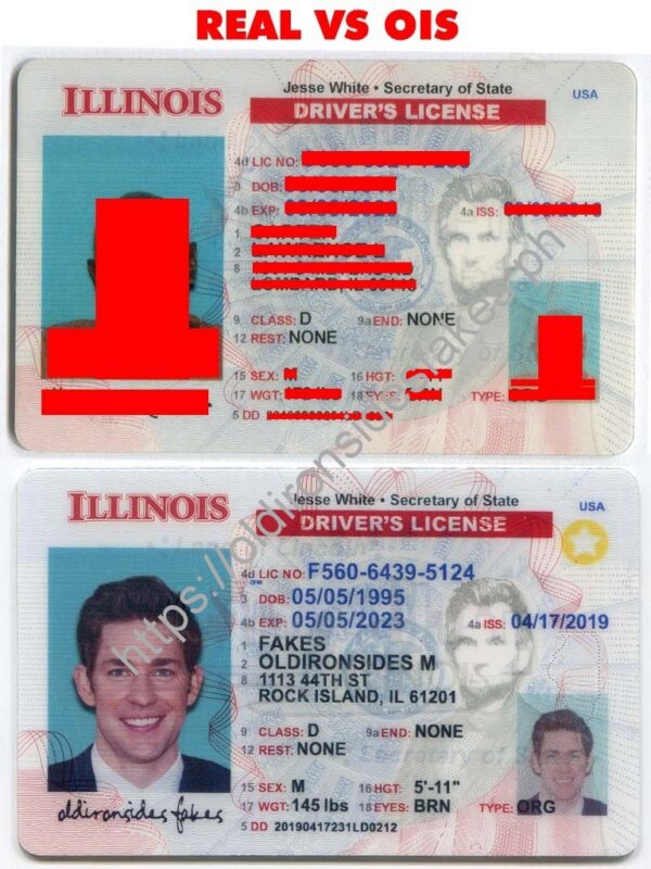 Illinois Driver License(New IL)