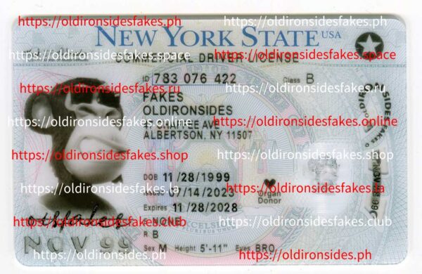 New York Driver License(New NY 2022 CDL PolyCard)