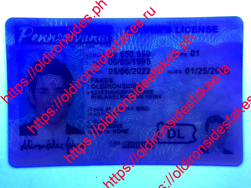 Pennsylvania Driver License(New PA O21) - Image 5